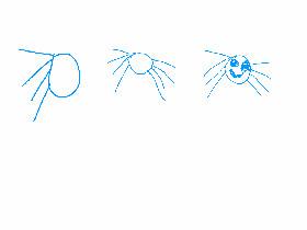  How to make a spider