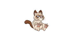 hey look its grumpy cat