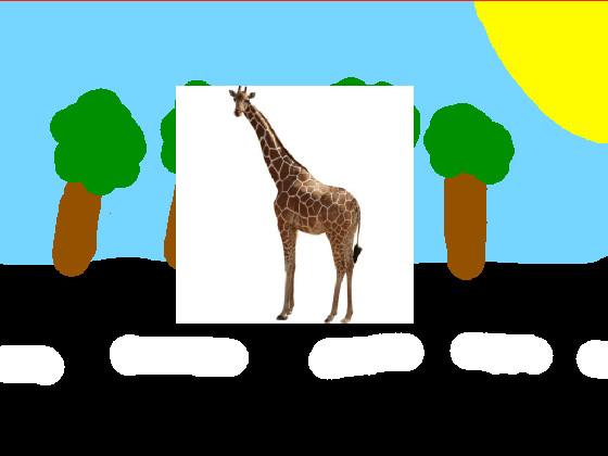 Mr Giraffe 1