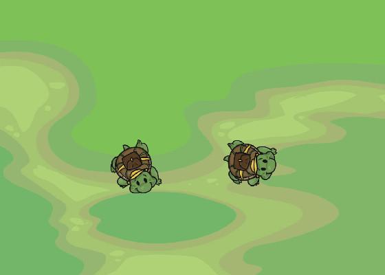 Turtle Trails 1