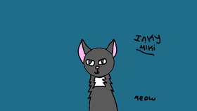 Cat blinking