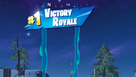 I got a victory royale