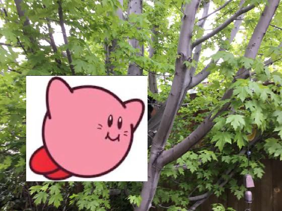 fling Kirby
