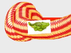 Crocky is the car #2