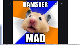 😃A mad Hamster's Thanksgiving!😃 A Hamster's Adventure Part 2
