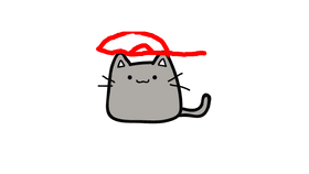 cat with a hat