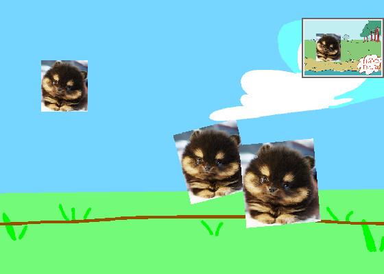 Bunny Run+Animation 1 1