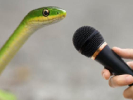 Waste Your Time Looking At This Cute Snake On A Microphone UwU 1
