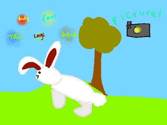 Create-a-bunny