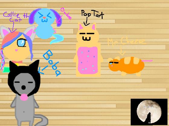 New! FMS OC(s)