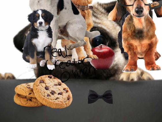 Adventures of Pugsly 1