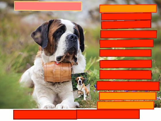 puppy clicker
