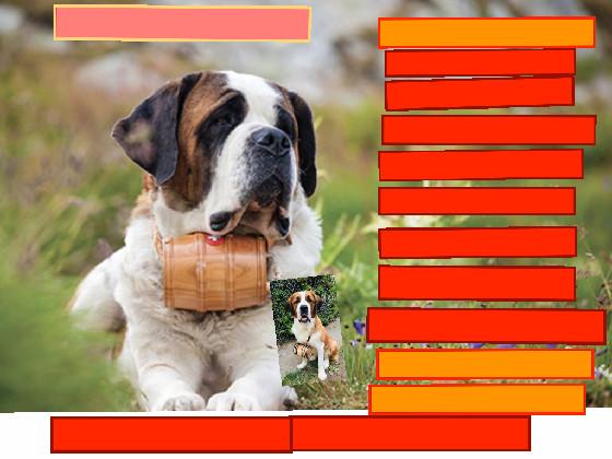 puppy clicker 1