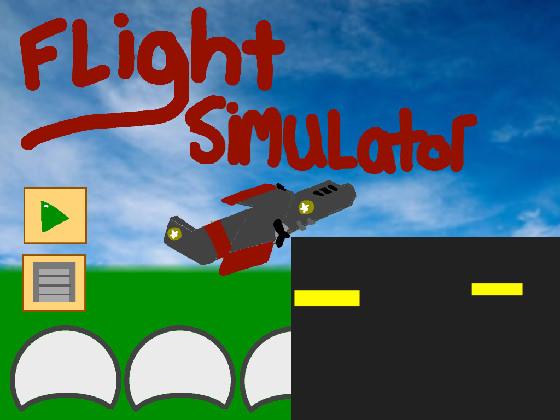 Flight Simulator 1