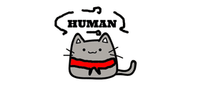 cat turns to  a human