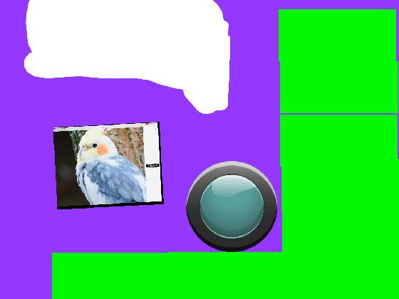 brid Army cliker broken