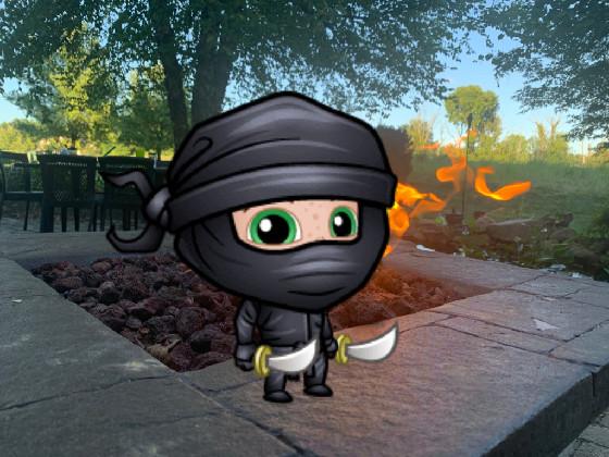 My ninja