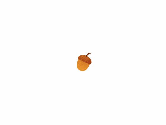 Acorn interactive physics