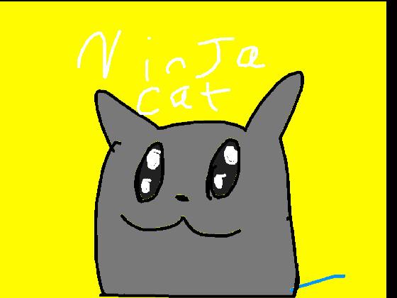 Ninja Cat Beta (W.I.P) 1