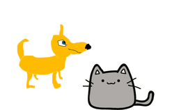 dog and cat
