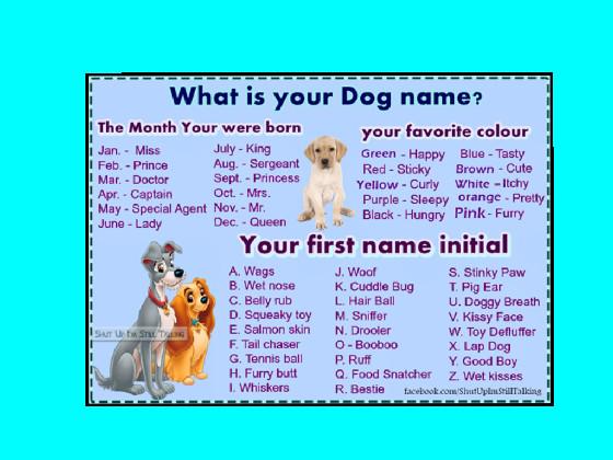 ur dogs name
