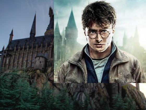 potter quiz 1