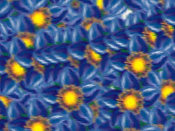 HYPNO NOT FROM SAFARI