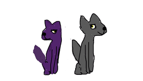 My new ocs Storm and Star