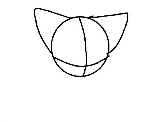 how to draw a wolf