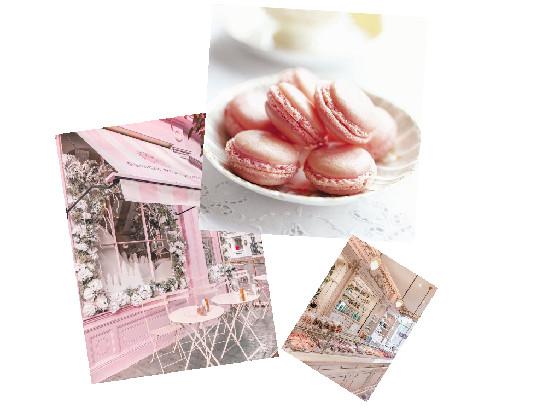 p i n k  c a f e