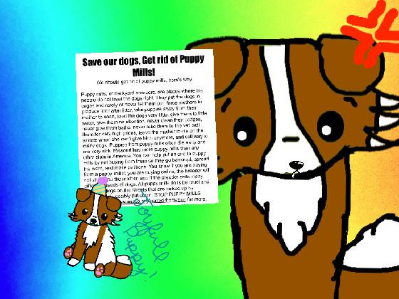 Puppy Mill awerness | by joyfull puppy 1 1 1