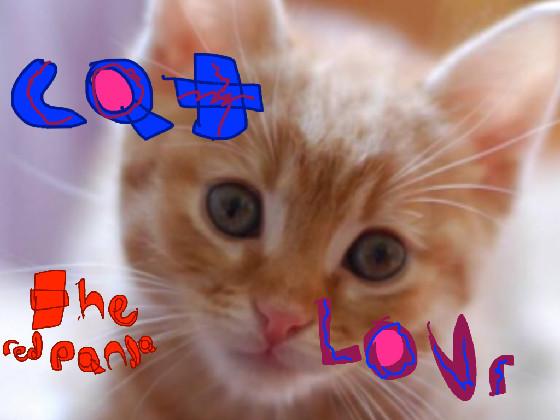 lm a cat lover