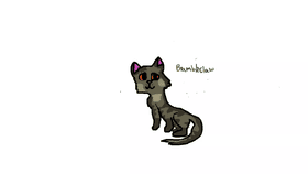Warriors Animation