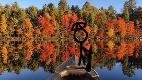 Fall Leaves