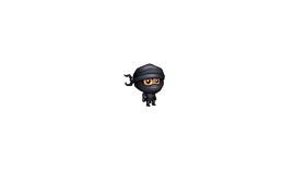 Ninja run