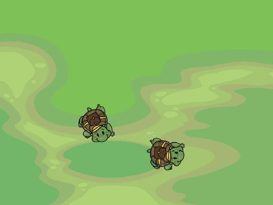 Turtle Trails 1