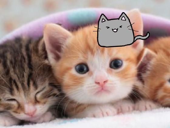How to draw a cute cat.