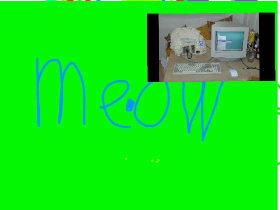 meow