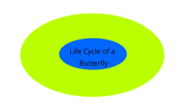 Life Cycle of a Butterfly