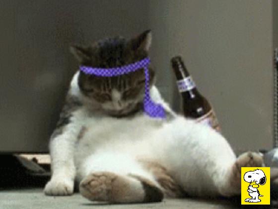 🐱🐱🐱🐱🐱🐱🙈🙈🙈🙈🙈😏😏😏😏🤣😂🤣😂