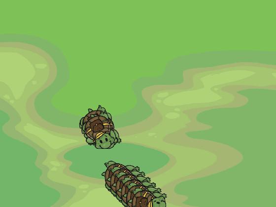 Turtle Trails 2
