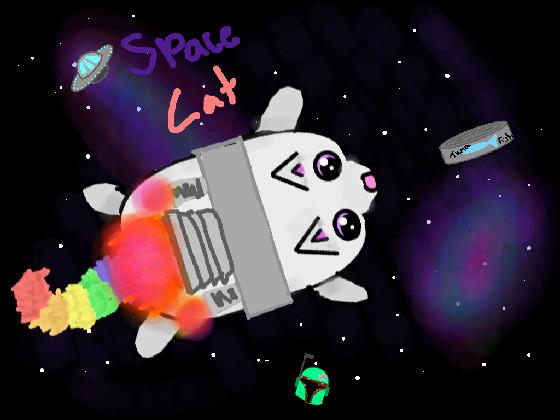 challenge 11, SPACE CAT!
