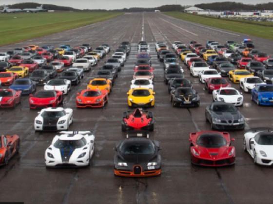 Ecological Pyramid 1