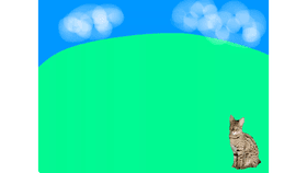 Field cat activity