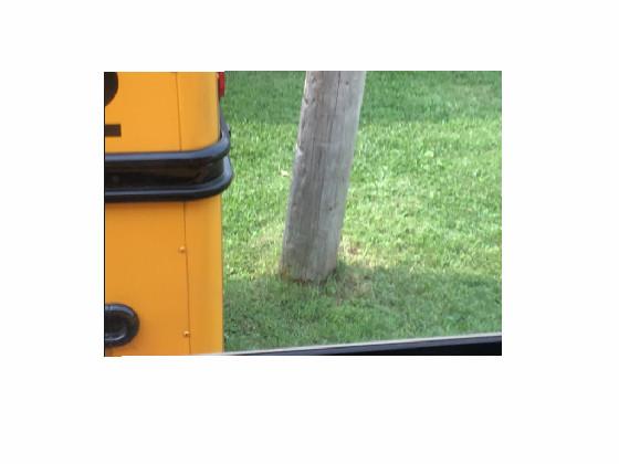 Spining bus that hit pull