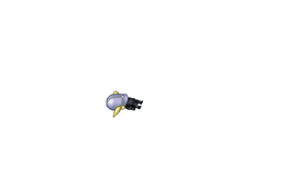 kill