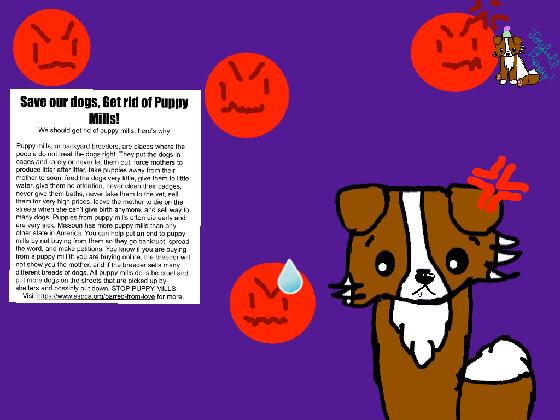 Puppy Mill awerness | by joyfull puppy 1