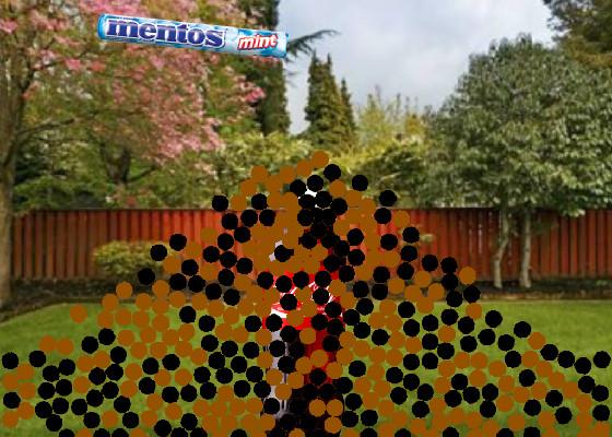 experiment (coke&mentos)