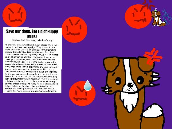 Puppy Mill awerness | by joyfull puppy 1 1