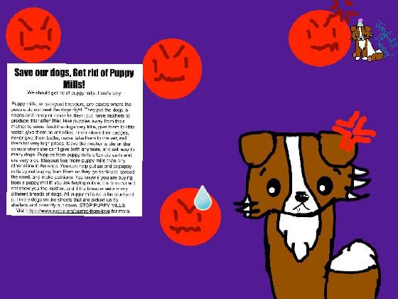 Puppy Mill awerness | by joyfull puppy 1 1